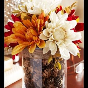 Meet your Posher, Lynda